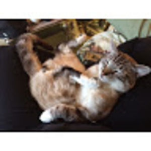 Meet your Posher, Ariella